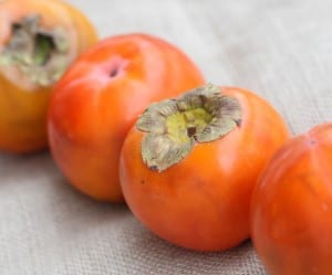 Persimmons-in-a-line-300x249