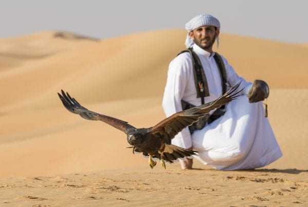 Travel Blogger Jennifer Eremeeva explores the ancient art of falconry.