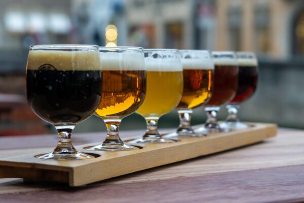 Glasses of Craft Beer in a Row Tasting