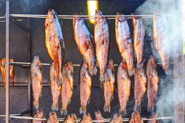 SMOKED SALMON 101_salmon in the smokehouse