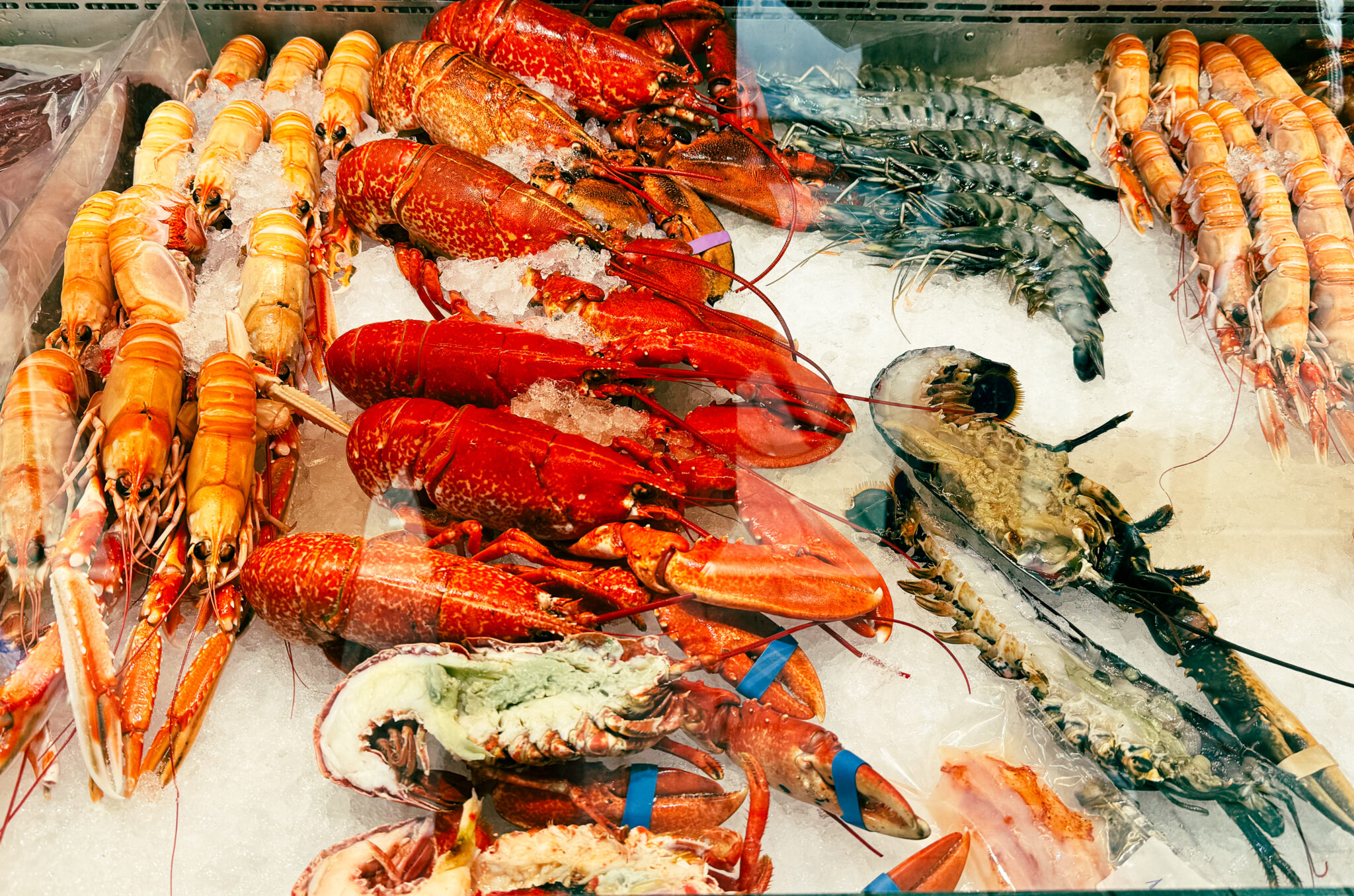 A tray of shellfish on top of ice