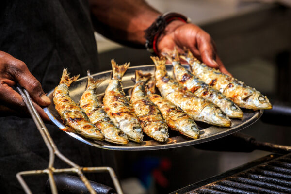 Freshly grilled sardines